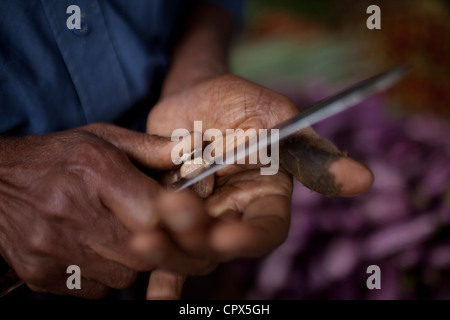 Il mercato in Bandarawela, Badula distretto, Sri Lanka Foto Stock