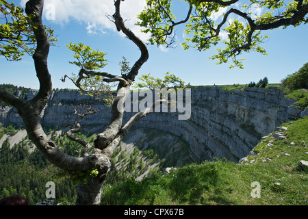 La parete di Creux du Van nel Cantone di Neuchâtel Svizzera che è chiamato il Grand Canyon della Svizzera Foto Stock