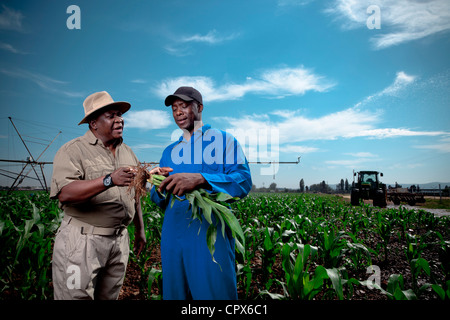 L'agricoltore nero sorge sorridente in un campo di coltivazione con il suo lavoratore Foto Stock