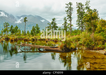 Vista del lago di Brunner. Nuova Zelanda Foto Stock