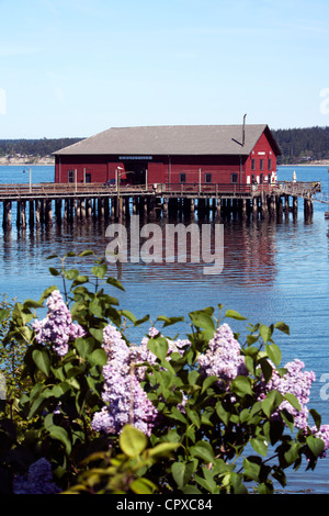 Coupeville Wharf - Coupeville, Whidbey Island, Stati Uniti di Washington Foto Stock