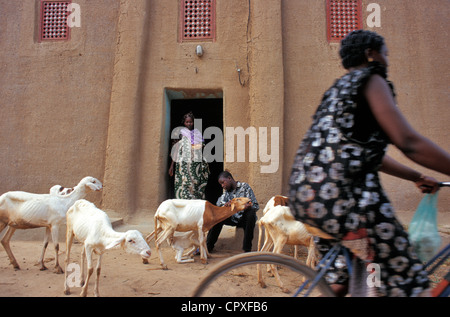 Mali, Mopti Regione, Djenne, classificato come patrimonio mondiale dall UNESCO, casa tradizionale Foto Stock