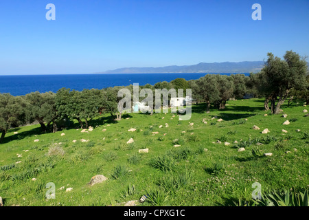 Vista sul mare dalle colline della penisola di Akamas verso il mare Mediterraneo Foto Stock