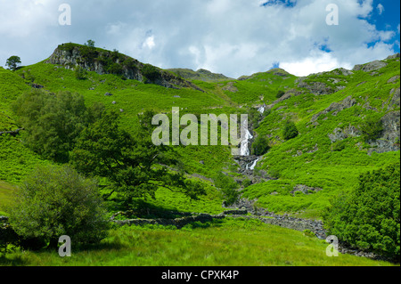 Lakeland campagna e cascata ghyll a Easedale nel Parco Nazionale del Distretto dei Laghi, Cumbria, Regno Unito Foto Stock