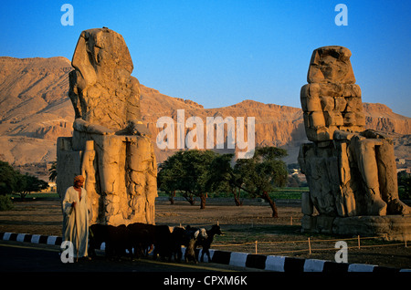 Egitto Alto Egitto, Valle del Nilo, West Tebe, frazioni di Luxor, i Colossi di Memnon elencati come patrimonio mondiale dall' UNESCO Foto Stock