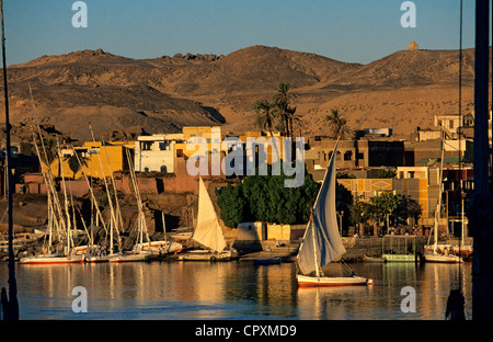 Egitto Alto Egitto, Valle del Nilo, Aswan, feluche sul Fiume Nilo Foto Stock