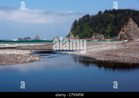 Rialto Beach, vicino la Push, Stati Uniti di Washington Foto Stock