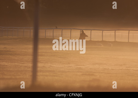 York racecourse impantanato nella nebbia di sunrise Foto Stock