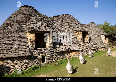 Francia, Dordogne, Perigord Noir, Valle della Dordogna, Saint Andre D'Allas, nel luogo chiamato Calpalmas, Cabanes du Breuil Foto Stock