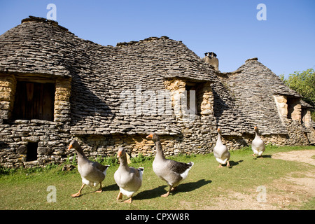 Francia, Dordogne, Perigord Noir, Valle della Dordogna, Saint Andre D'Allas, nel luogo chiamato Calpalmas, Cabanes du Breuil Foto Stock