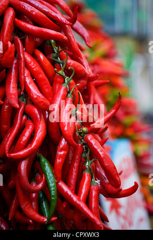 L'Italia, Campania, Costiera Amalfitana, classificato come patrimonio mondiale dall' UNESCO, Amalfi, Via Pietro Capuano, red hot chili peppers Foto Stock