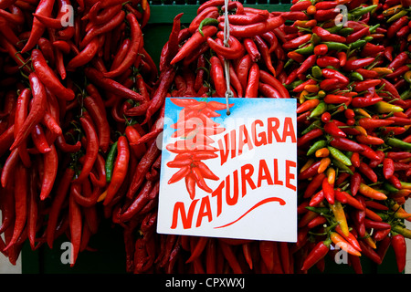 L'Italia, Campania, Costiera Amalfitana, classificato come patrimonio mondiale dall' UNESCO, Amalfi, Via Pietro Capuano, red hot chili peppers Foto Stock