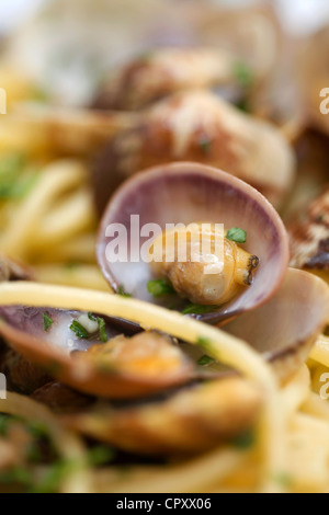 L'Italia, Campania, Costiera Amalfitana, classificato come patrimonio mondiale dall' UNESCO, Amalfi, Marcus Ristorante, spaghetti alle vongole con vongole veraci Foto Stock