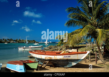 Repubblica Dominicana, Altagracia provincia, Bayahibe, piccolo porto di pesca Foto Stock