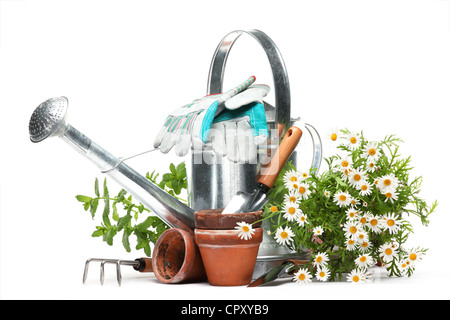 Utensili da giardinaggio e fiori isolati su bianco. Foto Stock