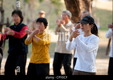 Taiwan, Kaohsiung, Tai Chi in Central Park (parco Zhongshan) Foto Stock