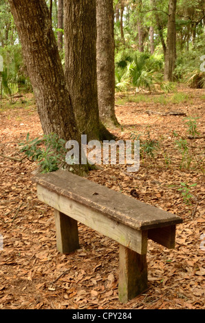 Un posto di riposo lungo un sentiero del parco Foto Stock