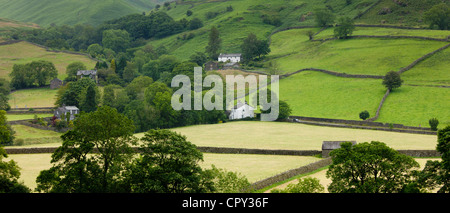 Hill Farm a Easedale vicino a Grasmere nel Parco Nazionale del Distretto dei Laghi, Cumbria, Regno Unito Foto Stock