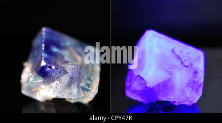 Flourite (calcio fluoruro) crystal sotto luce naturale (sinistra) e raggi ultravioletti (destra)