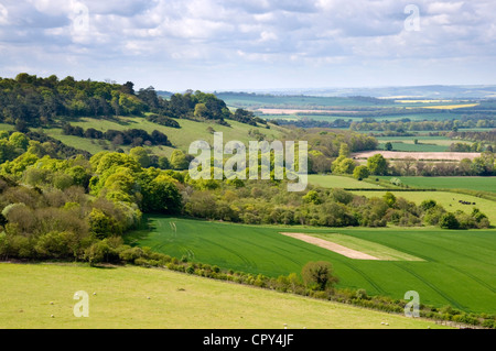 Oxon - Chiltern Hills - paesaggio nr Lewknor - boschi - campi verdi - blu haze di distanza - la luce del sole e ombre Foto Stock