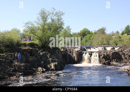 Scene di Teesdale, Inghilterra del Nord Est. 26 Maggio 2012 - Bassa forza cascate - circa 1.1/4 mls a valle di forza elevata cascate Foto Stock