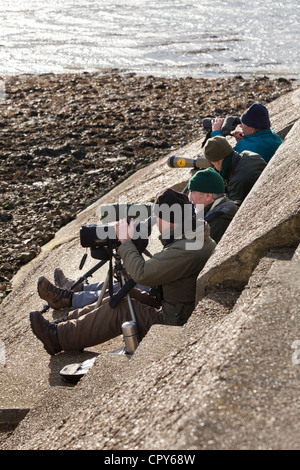 Bird watcher a Farlington paludi umide dalla parete del mare con cannocchiale e treppiedi. Foto Stock