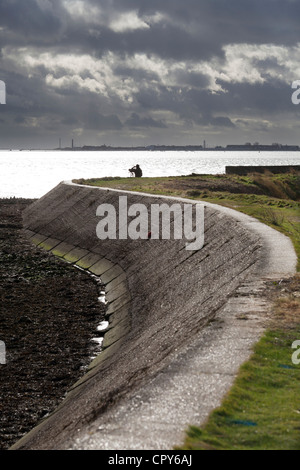 Bird watcher a Farlington paludi umide dal mare sulla parete tempestoso giorno Foto Stock