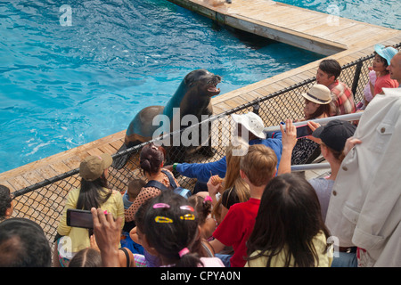 New York Aquarium di Brooklyn New York Foto Stock