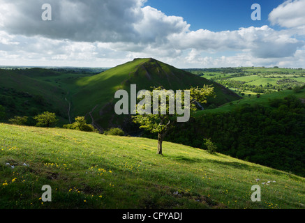 Vista in direzione di Thorpe Cloud a Dovedale. Parco Nazionale di Peak District. Derbyshire. In Inghilterra. Regno Unito. Foto Stock