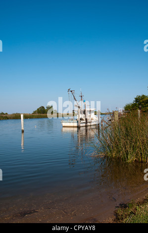 Fiume Apalachicola Apalachicola northwest Florida USA Foto Stock