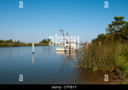 Fiume Apalachicola Apalachicola northwest Florida USA Foto Stock