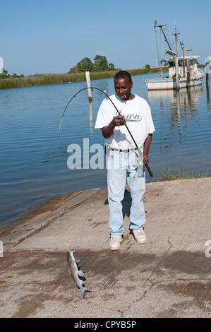 Fiume Apalachicola Apalachicola northwest Florida USA Fisherman atterra un lupo di mare Foto Stock