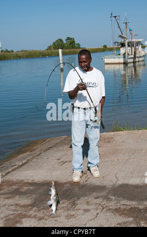 Fiume Apalachicola Apalachicola northwest Florida USA Fisherman atterra un lupo di mare Foto Stock