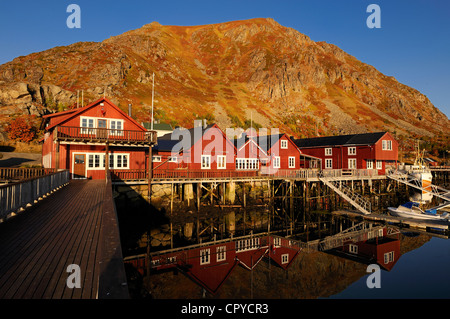 Norvegia, Nordland County, Isole Lofoten, Isola Vestvagoy, Ballstad Harbour Foto Stock