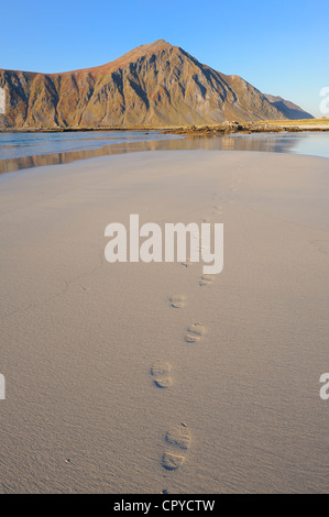 Norvegia, Nordland County, Isole Lofoten Flakstadoy Isola, Ramberg spiaggia di sabbia bianca Foto Stock