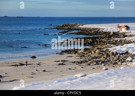Norvegia, Nordland County, Isole Lofoten, isola di Flakstad, Ramberg Beach in inverno Foto Stock