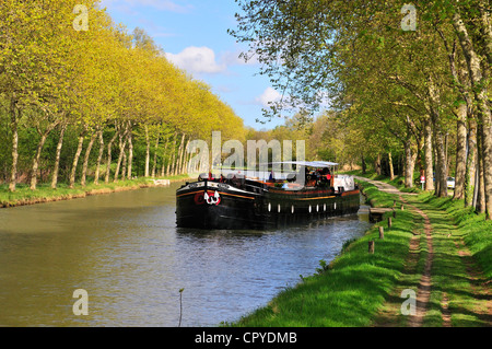 Chiatta sul Canal du Midi alberato in primavera vicino Castelnaudary, Francia meridionale Foto Stock