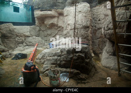 New York Aquarium di Brooklyn New York Foto Stock