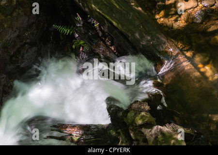 Dollar Glen, Dollaro, Clackmannanshire, Scozia - burrone boscoso con Dollar masterizzare stream. La cascata di masterizzazione. Foto Stock