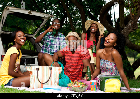 5 giovane nero gli adulti hanno un picnic nel parco Foto Stock