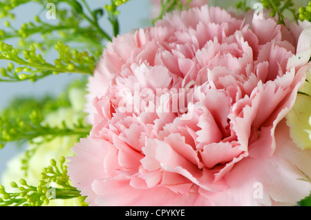 Bouquet di fiori con rose, garofani e Gypsophila paniculata, utilizzato nel matrimonio e la celebrazione. Foto Stock