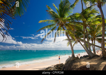 Repubblica Dominicana, La Altagracia Provincia, Punta Cana, Playa Bavaro Foto Stock