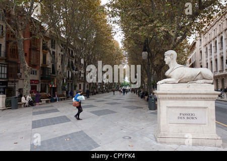 Nuovo viale Passeig des Born, Palma, Palma de Maiorca Maiorca Isole Baleari Spagna, Europa Foto Stock