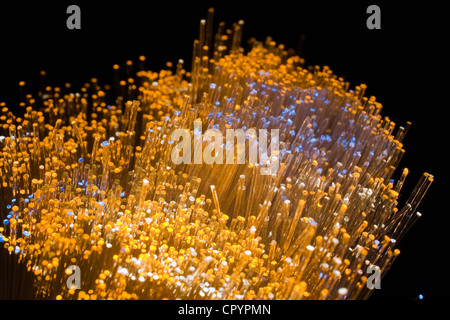 Close-up di fibre ottiche Foto Stock