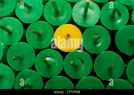 Uno giallo tra molti verde spine di spinta Foto Stock