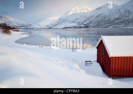 Capanne di legno sul nordfjord, tromsø o Tromso, Norvegia, europa Foto Stock