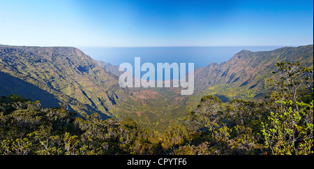 Valle Kalalau, Koke"e del Parco Statale di Kauai, Hawaii, STATI UNITI D'AMERICA Foto Stock