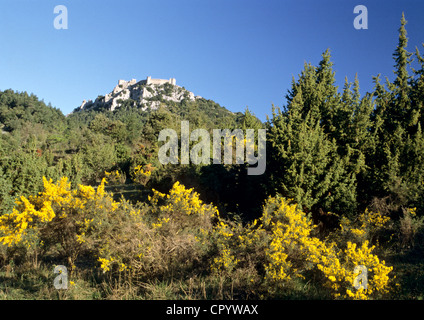 Francia, Aude, Chateau de Puilaurens, XII secolo il castello cataro Foto Stock