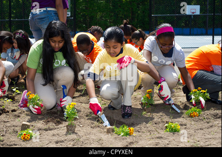 Sesta livellatrici impianto di ortaggi e fiori in un giardino per i bambini della scuola in una scuola di Newark NJ Foto Stock