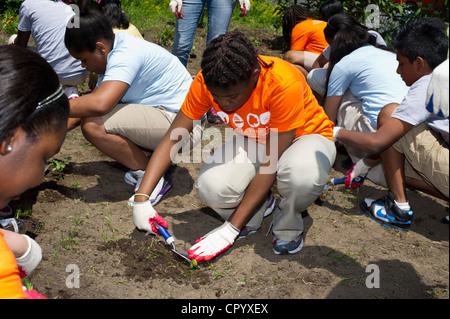 Sesta livellatrici impianto di ortaggi e fiori in un giardino per i bambini della scuola in una scuola di Newark NJ Foto Stock